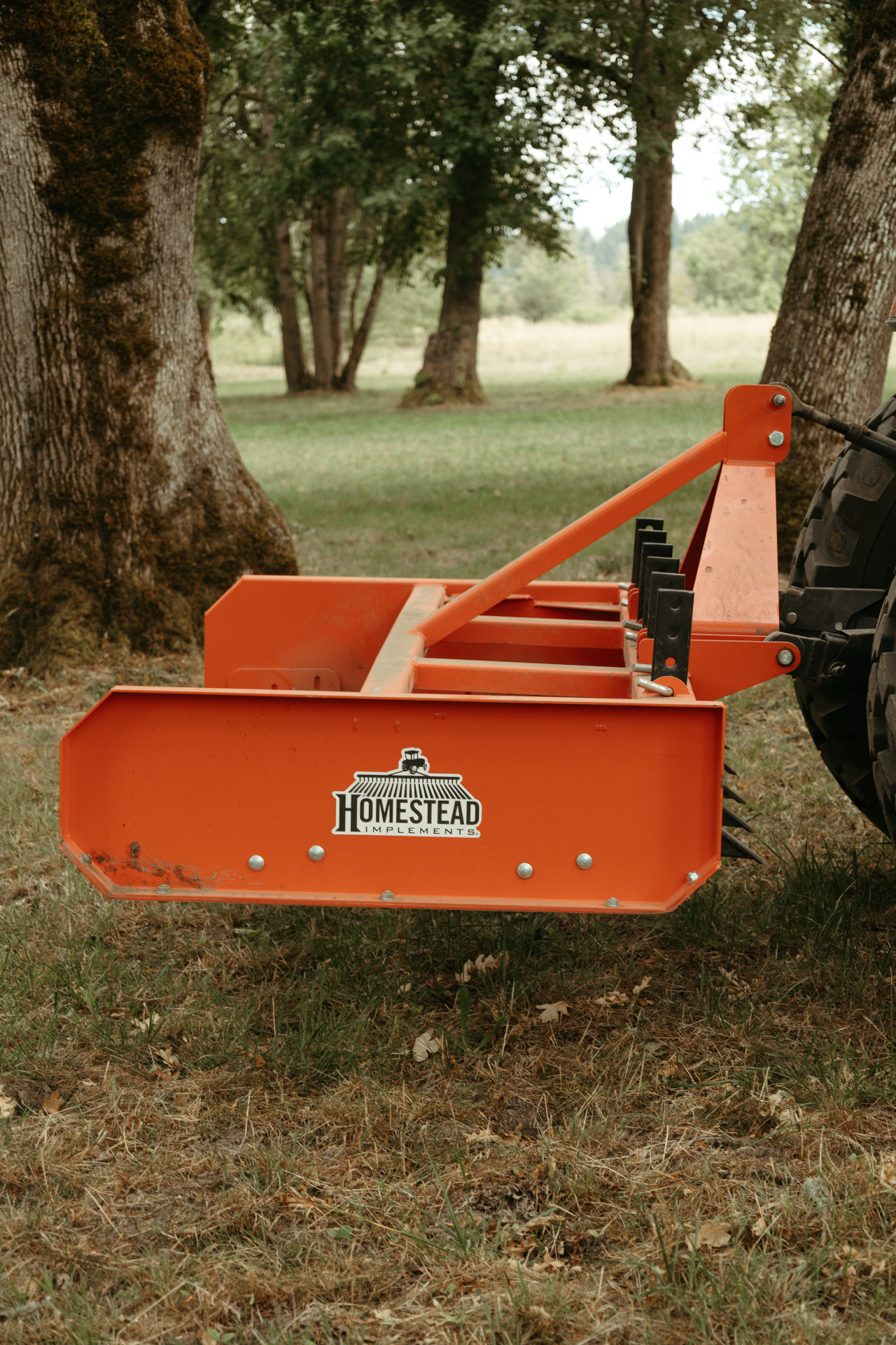Driveway Grading & Cleanup